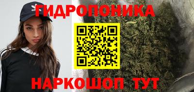 прущие грибы Лесосибирск