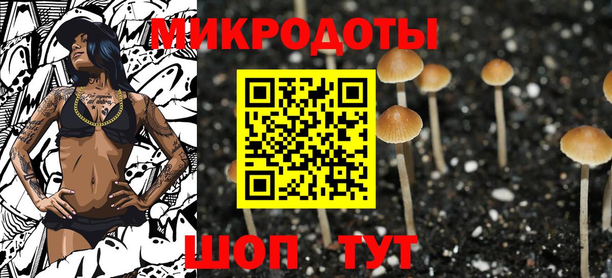 Псилоцибиновые грибы Psilocybine cubensis Севастополь